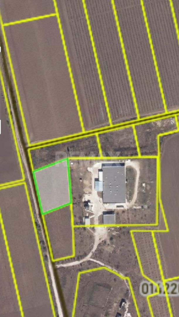 Teren agricol 40 ari Bubuieci - Poză 2