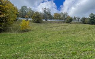 Teren extravilan cu priveliste catre Bucegi – Moieciu de Jos 4.700 mp - Poză 1