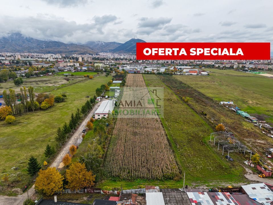 Teren industrial- Timișul Sec oportunitate investițională - Poză 2