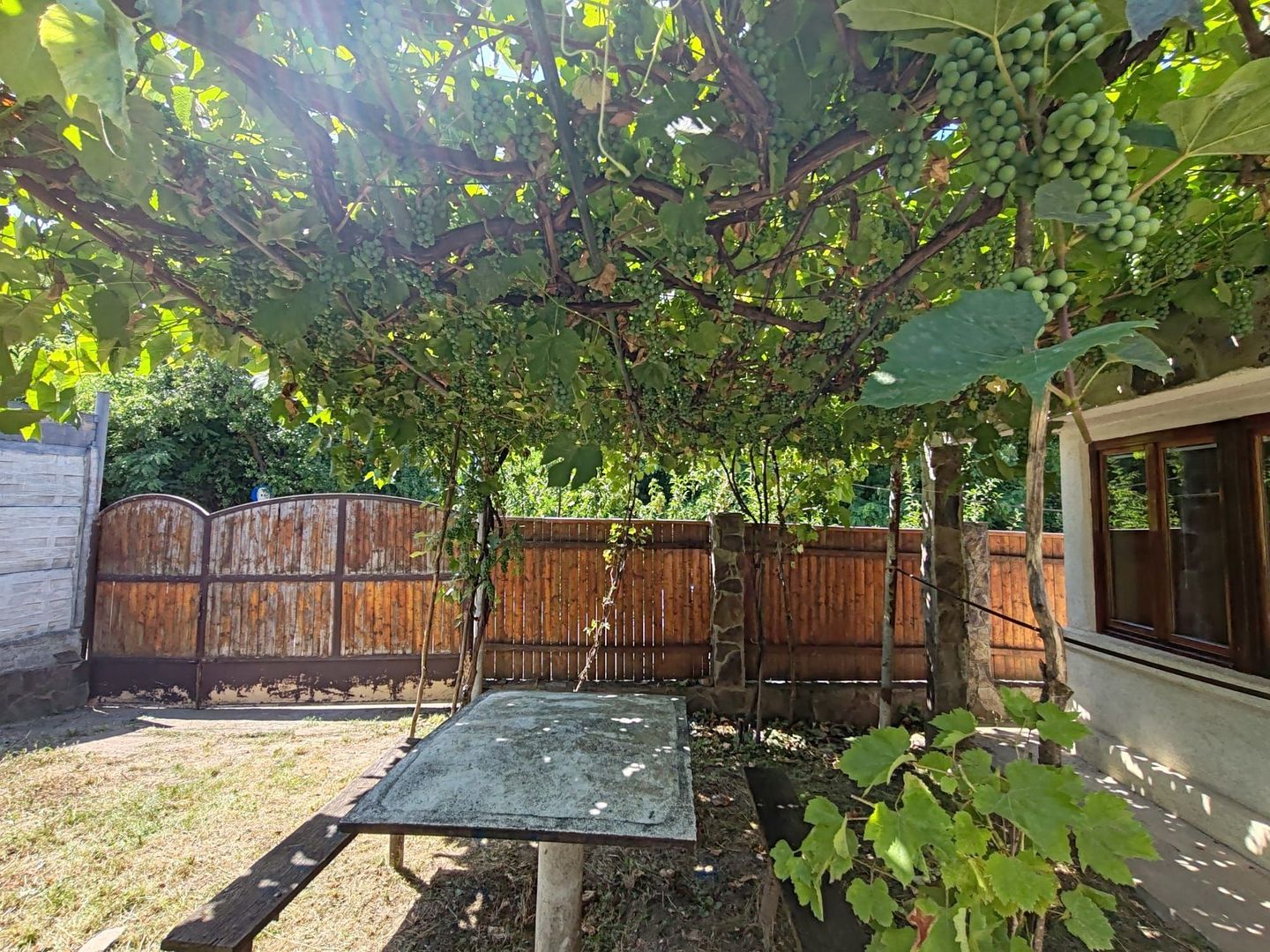 Casa si gradina-95000euro-Picioru Lupului-Comuna Ciurea - Poză 3