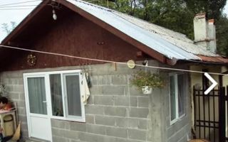 CASA 4 CAMERE, TEREN 8387 MP, POIENARII DE MUSCEL, ARGES - Poză 11