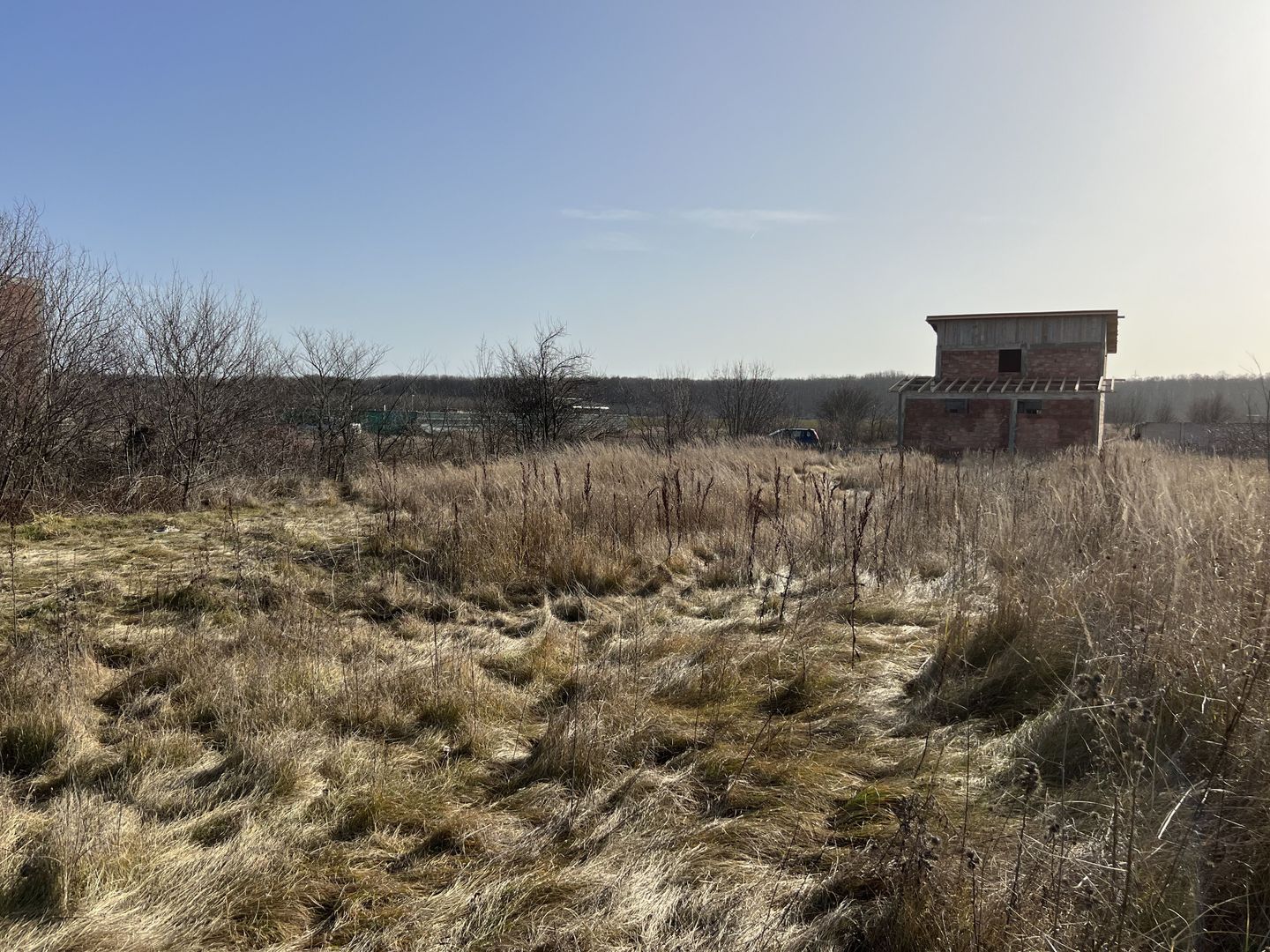 Teren Balotesti - Privighetorilor (Parcului Edenland) - Poză 3