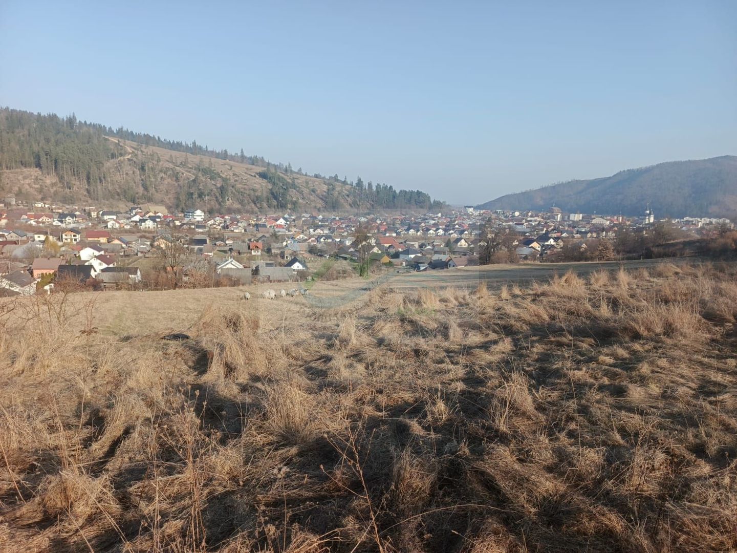 Teren extravilan 3000 mp de vănzare - Poză 3