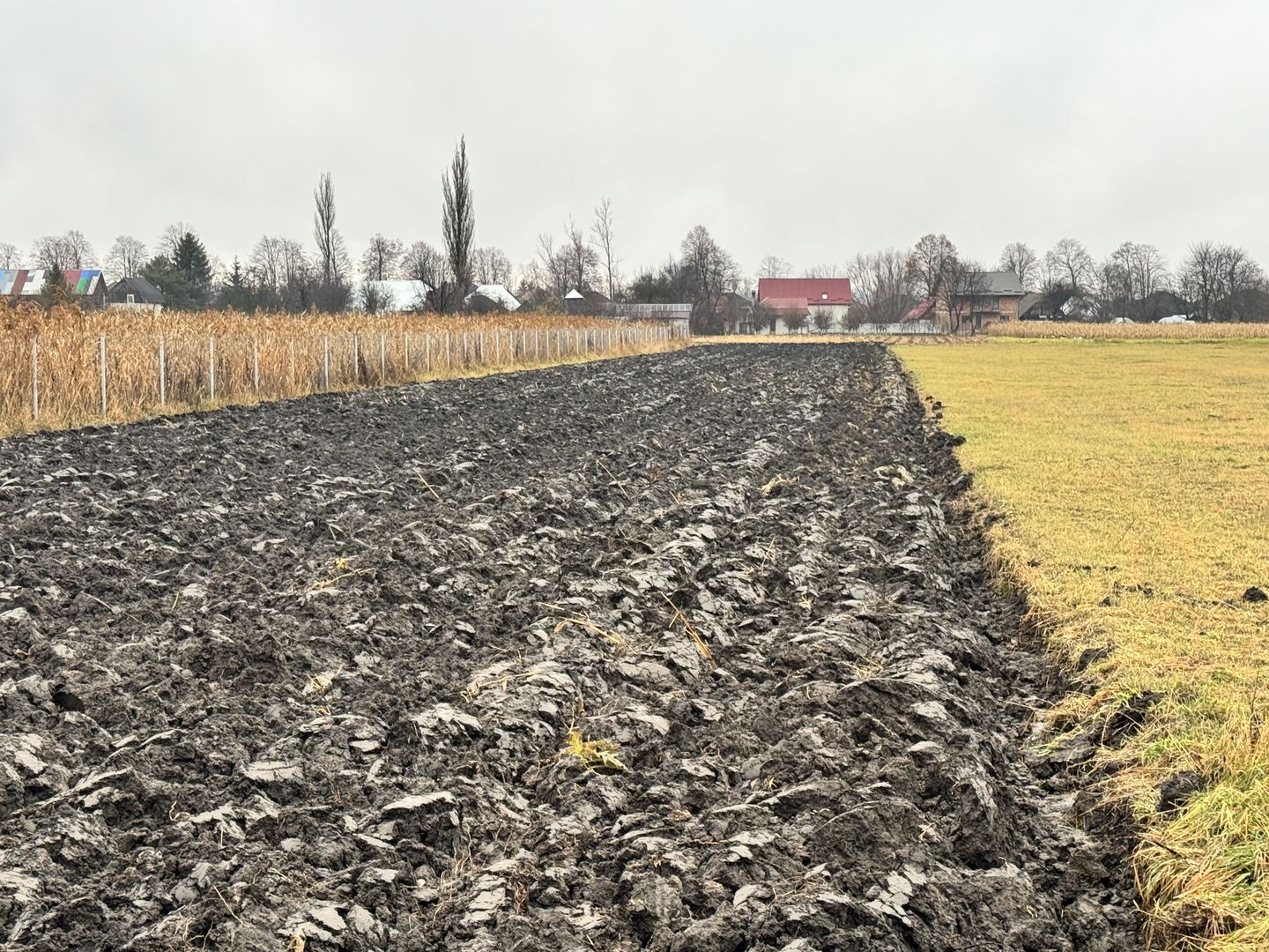 Teren 24 Ari | Horodnic de Sus | Front 15 m - Poză 2