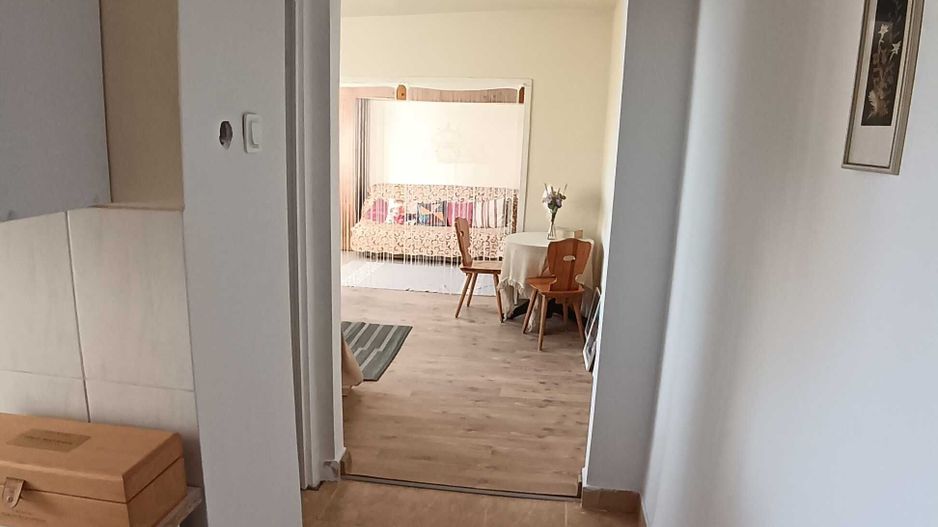 Apartament 2 camere Zona Dariu Pop - Poză 4