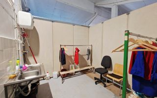 Spatiu industrial de inchiriat in Sebes - Poză 8