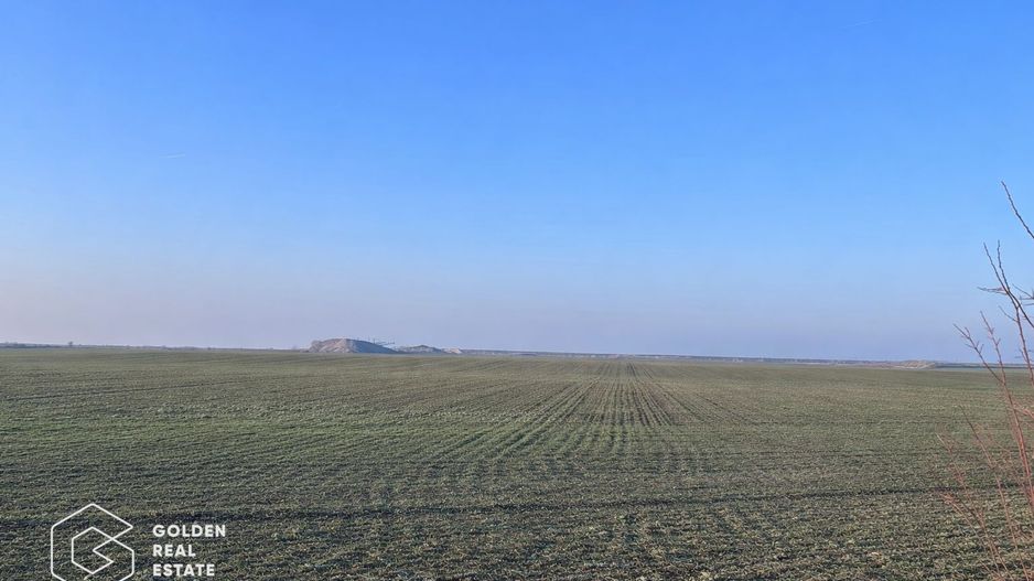 Teren agricol 32.000 mp, deschidere sosea Arad–Siria - Poză 2