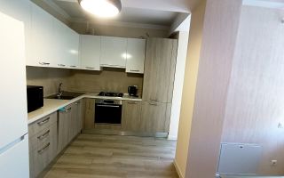 Chirie , apartament, 1 cameră + living, str. Vlaicu Pîrcalab, Centru. - Poză 6