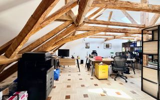 Spațiu Birou - Mansarda Cosy în Piața Unirii - Poză 17
