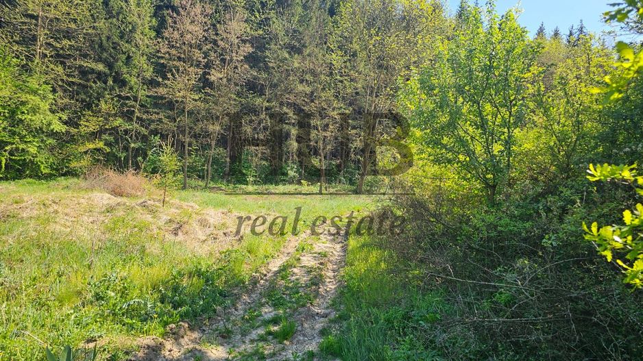 Teren intravilan | langa padure si parau | Luncani/Bacau - Poză 2