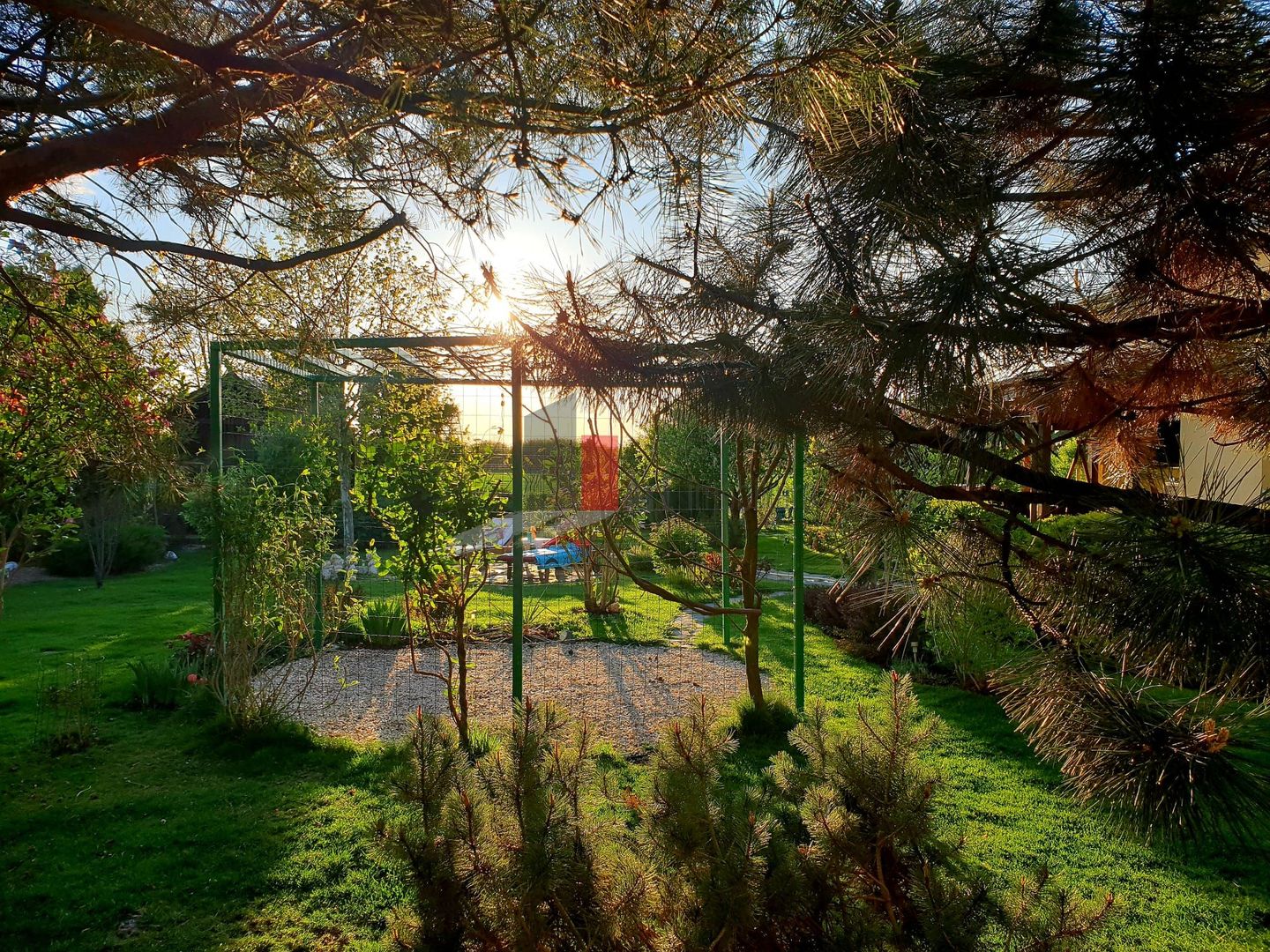 Vila cu gradina impresionanta | Prosumator | Tancabesti - Poză 12