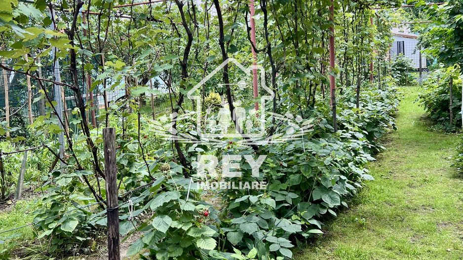 Casa de vanzare 6 camere zona Piata Cluj/Kogalniceanu/Turnisor - Poză 26