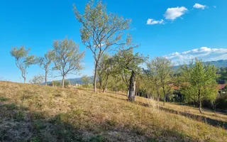 Casă renovata cu teren generos | Anexe | Gurasada | Hunedoara - Poză 39