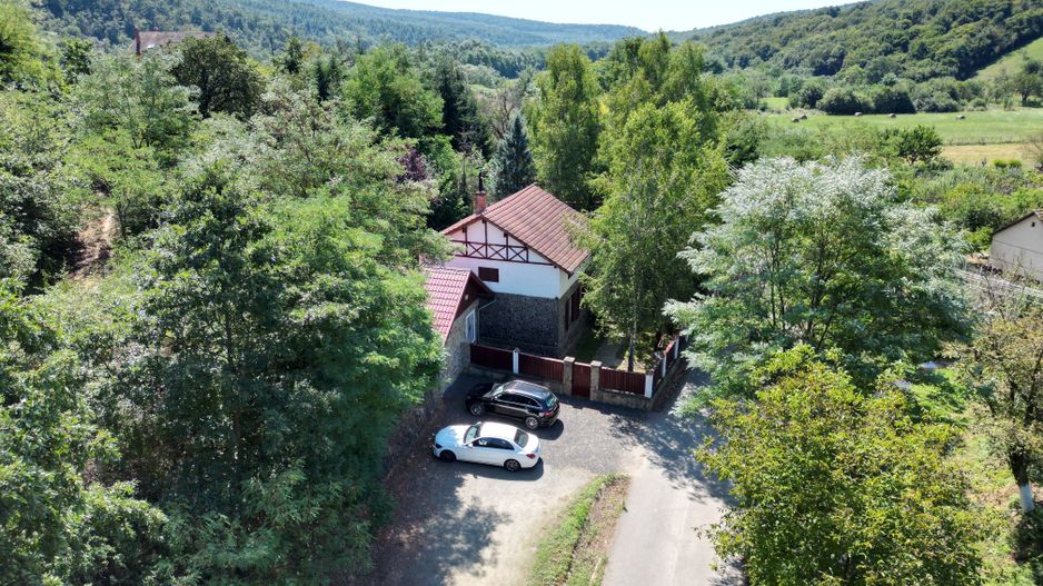 Casă de vacanță în Cladova, Județul Arad - Poză 9