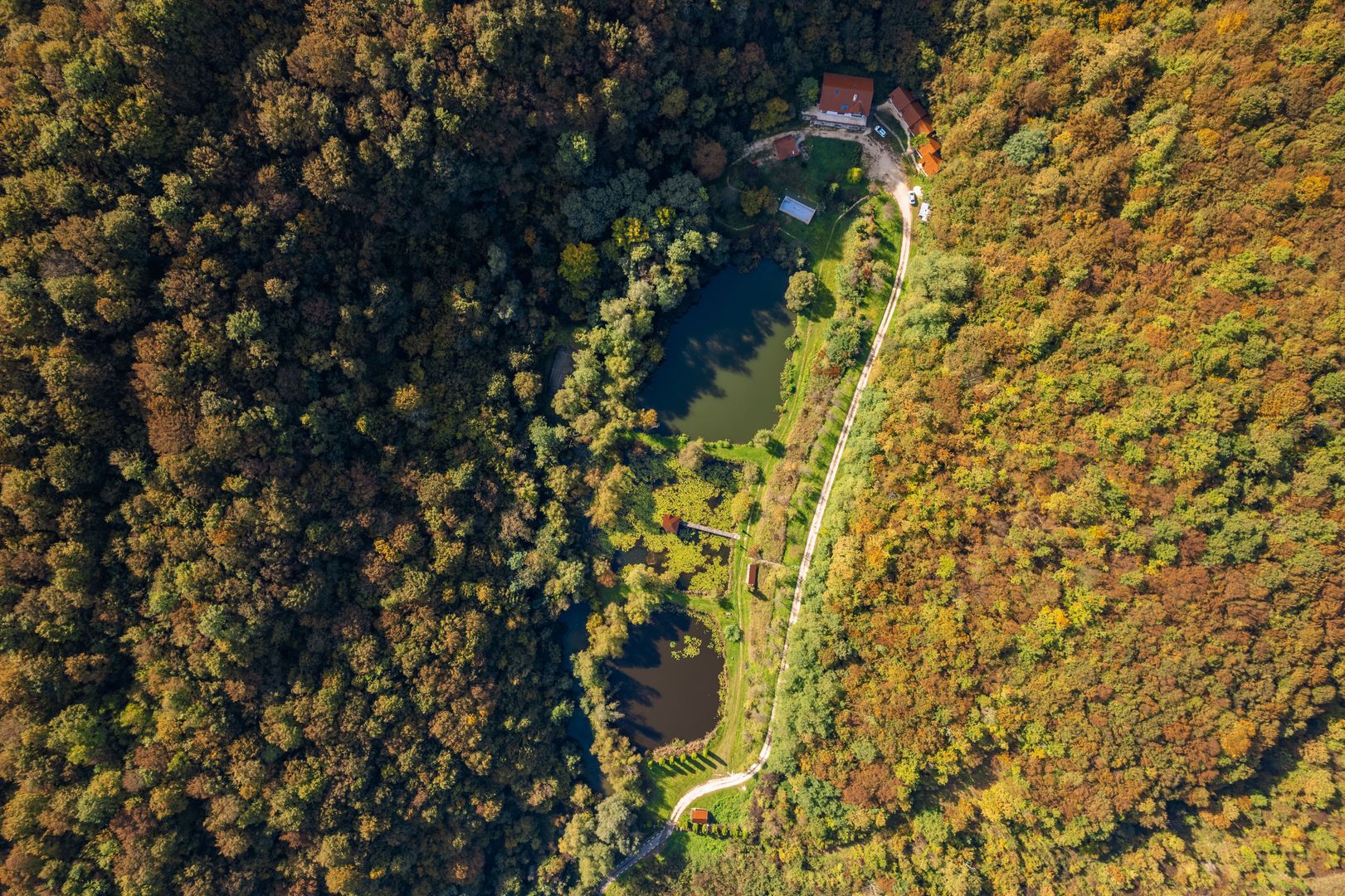Domeniu în satul Căprioara - Poză 22