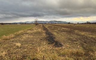 Teren 80 Ari | Vicovu de Sus – Bahna | Front 16.5 - Poză 1