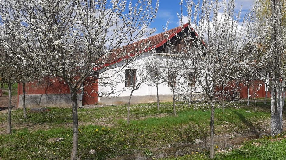 Casă cu teren generos la Bodo - Poză 1