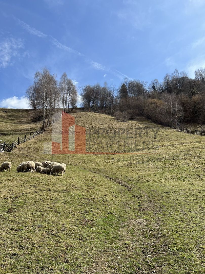 Teren Intravilan 9.194 mp, zona Bran - Simon - Poză 7