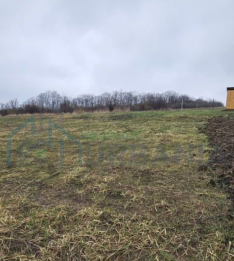 Teren intravilan 656 mp + acces, lângă pădure – Chicerea - Tomești - Poză 2