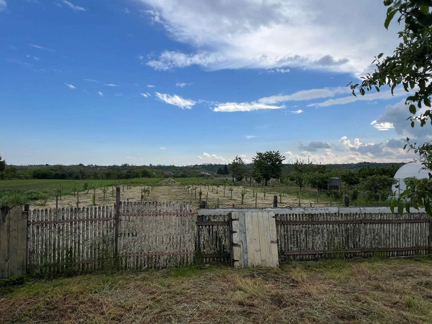 🏡 CASĂ + TEREN INTRAVILAN 4.971 MP – URECHEȘTI, VRANCEA - Poză 13