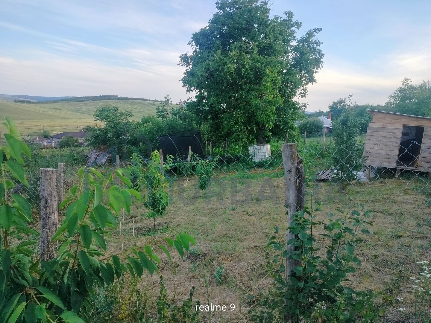 Teren intravilan de 1550 mp în localitatea Buznea, strada Corneliu Coposu - Poză 4