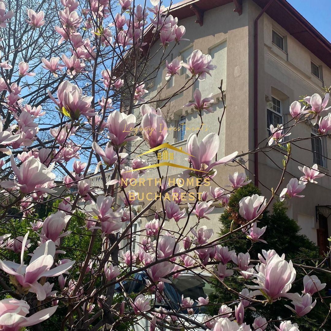 Vila de inchiriat -7 camere -Parcare - zona UNIRII - Poză 11