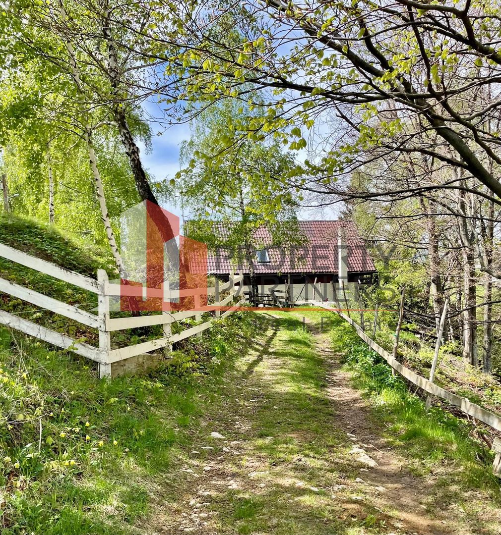 Teren in sat Pestera, comuna Moeciu. - Poză 9