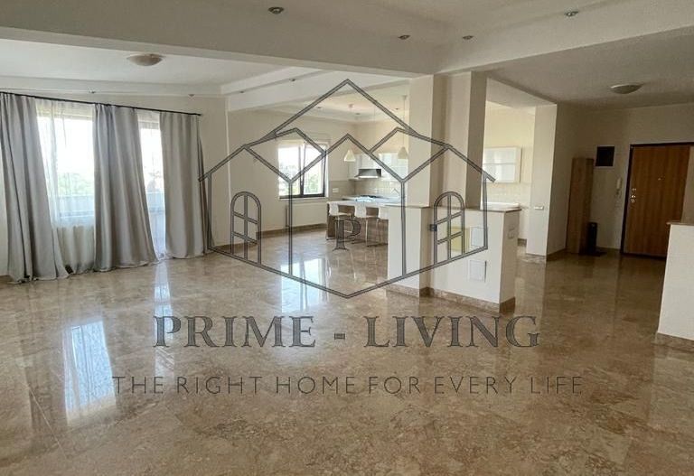 APARTAMENT CU 4 CAMERE LANGA ARCUL DE TRIUMF - Poză 2