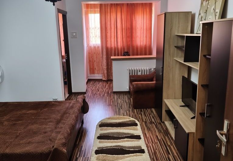 Garsonieră Brazda lui Novac - Poză 4
