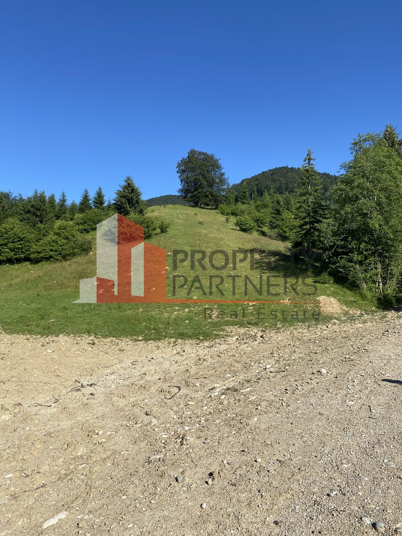 Teren 14400 mp la iesire din Rasnov inspre Pârâul Rece-Trei Brazi - Poză 4