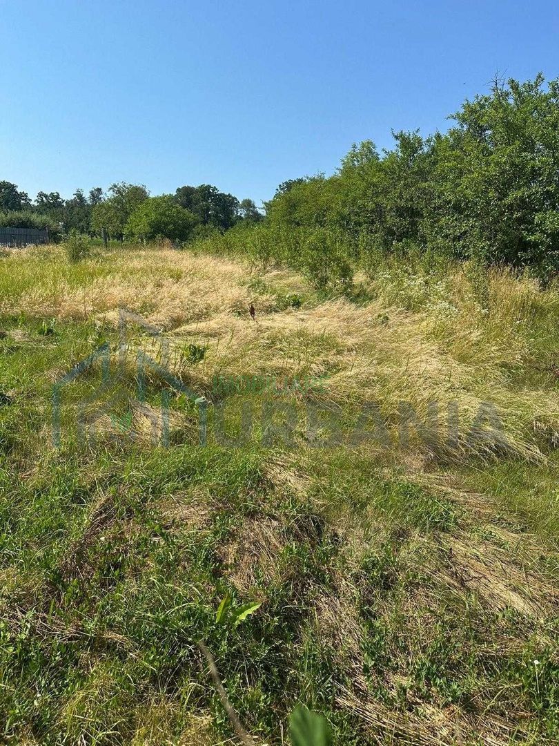 Casă tradițională cu anexă, beci și teren de 5700 mp, deschidere la drum principal, învecinată cu pădurea Bârnova, localitatea Pădureni, com. Grajduri, la 19 km de Iași - Poză 2