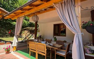 Vila  Frumoasa , Sibiu ,6 camere , 5 Bai , mobilata ,utilata - Poză 9