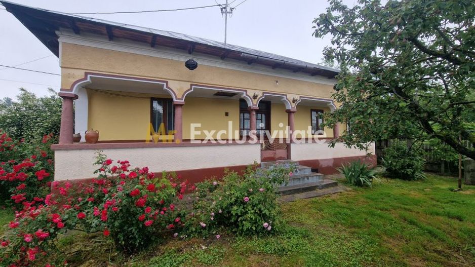 Gospodărie completă și spațioasă -Lunca Corbului- Ciesti! - Poză 3