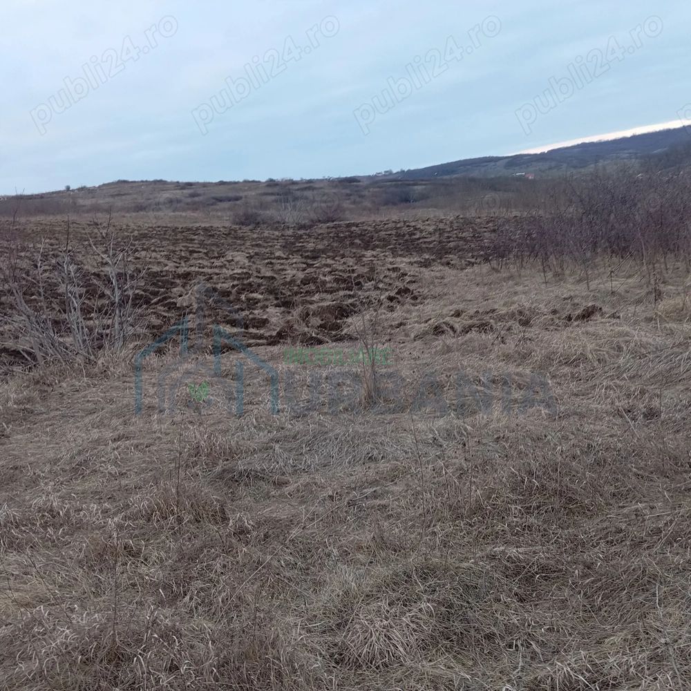 Teren intravilan Lunca Cetățui - Poză 1