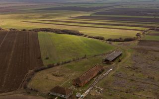 Fermă cu teren intravilan de 35000 mp în Mișca - Poză 17