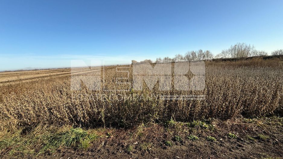 TEREN EXTRAVILAN | 35 ARI | HORODNIC DE JOS | - Poză 9