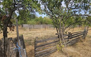 Vanzare teren pentru casa, Moraresti - Poză 2