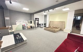 Imobil S+D+P+E+M - Centru - str. Siretului v-a-v de Regina Maria 678mp - Poză 8