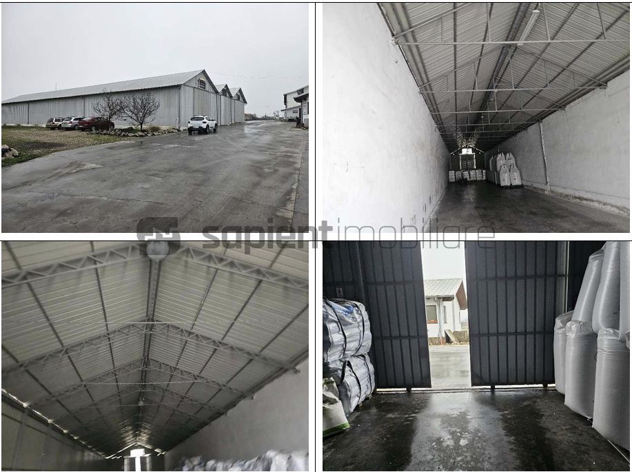 Proprietate industrială  Platformă logistică de vânzare în Tinca - Poză 7