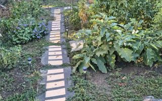 CASA IN POPESTI LEORDENI, RENOVATA, CURTE, MOBILAT-UTILATA - Poză 8