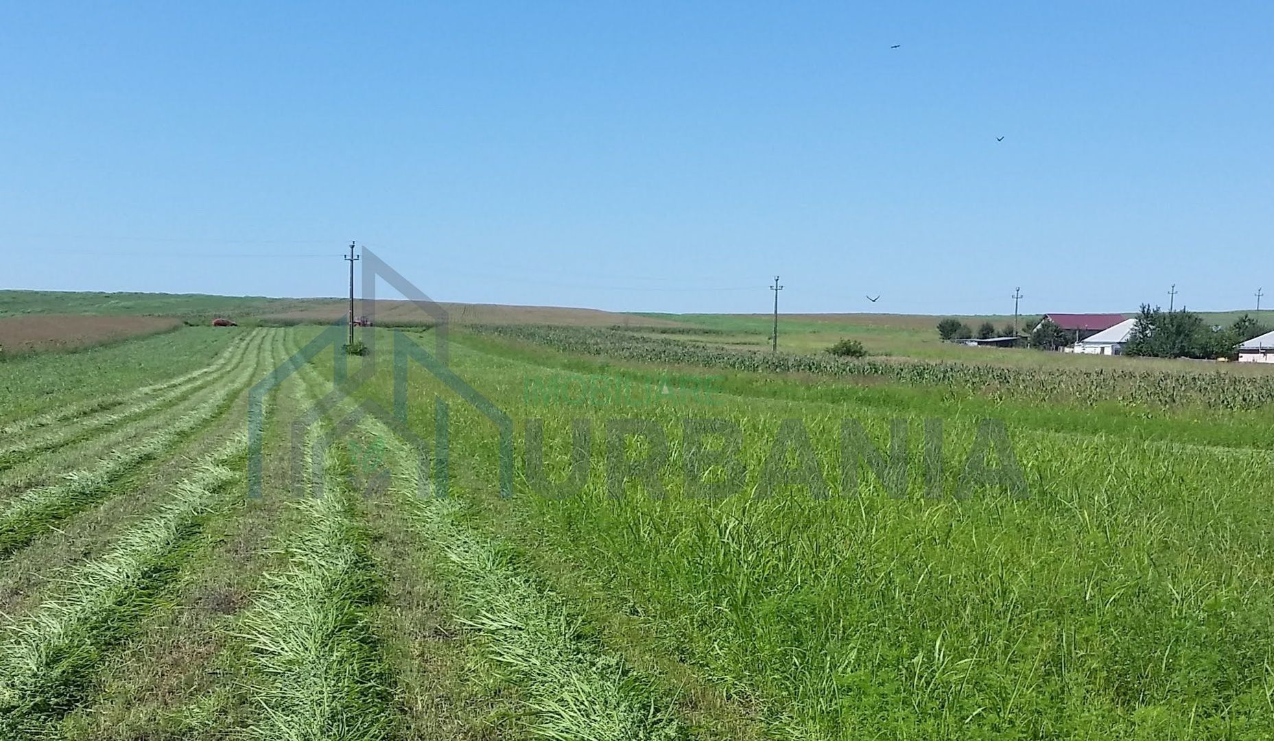 Teren intravilan Holboca 1624mp - Poză 1