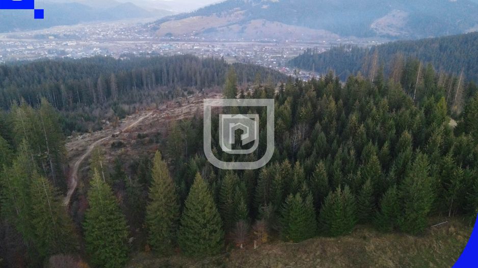 Teren situat in Frasin | BUCOVINA - Poză 2