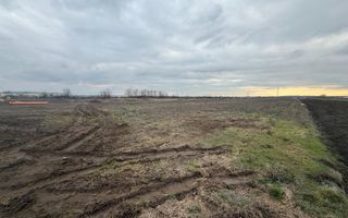 COMISION 0% | Parcele de Vanzare | Giarmata Vii - Calea Timisoarei - Poză 3