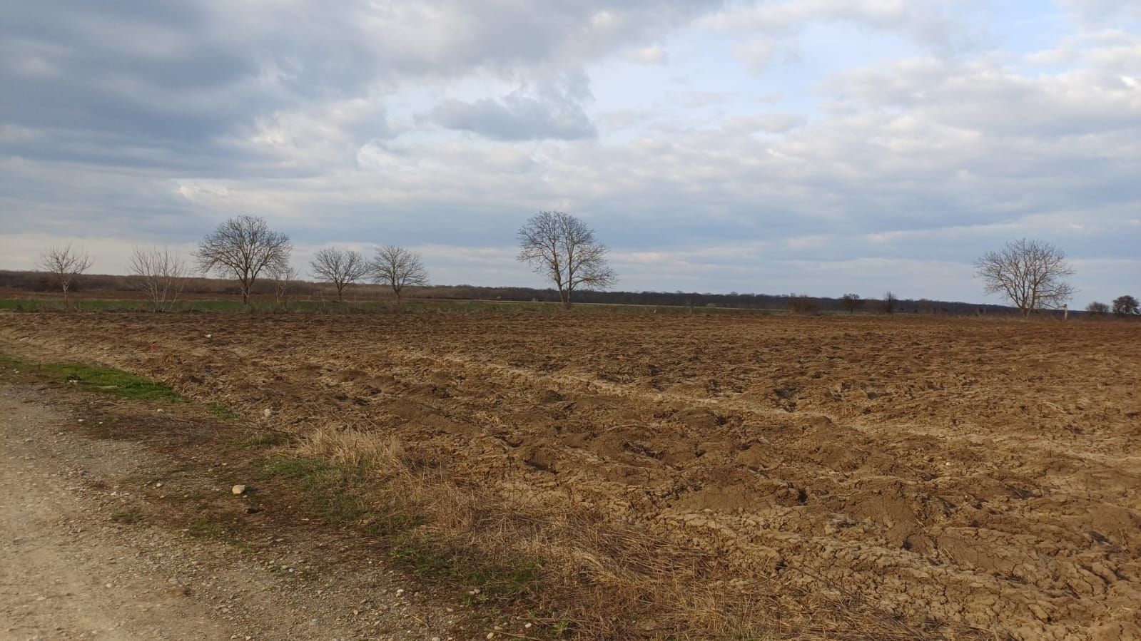 Teren de vânzare | Moara Vlăsiei | Utilități în zonă - Poză 2