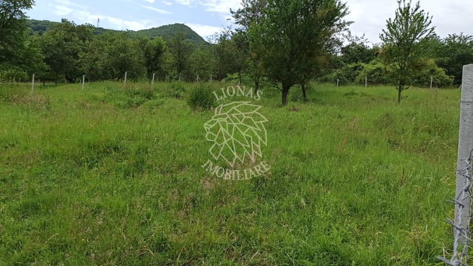 Teren 1000mp+cota drum-ideal cabana/investitie-panorama-Valea Rusului - Poză 5