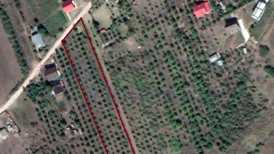 Teren intravilan 5.050 mp Tomesti Chicerea | P+2E | casa sau parcelare - Poză 5