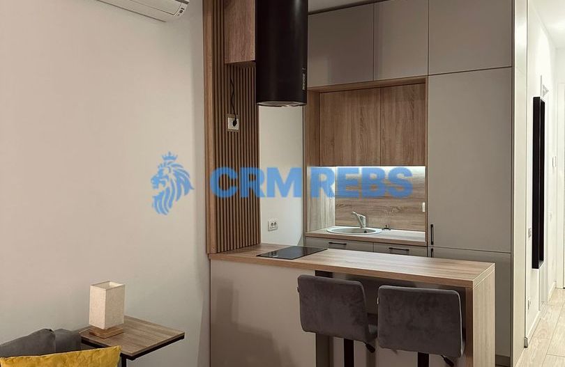 Aurel Vlaicos - Poză 6