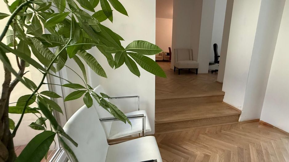 Vilă elegant renovata pentru business de prestigiu - Poză 1