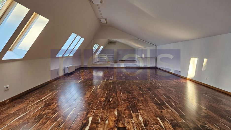 INCHIRIERE VILA 4 CAMERE | ZONA TINERETULUI - Poză 2