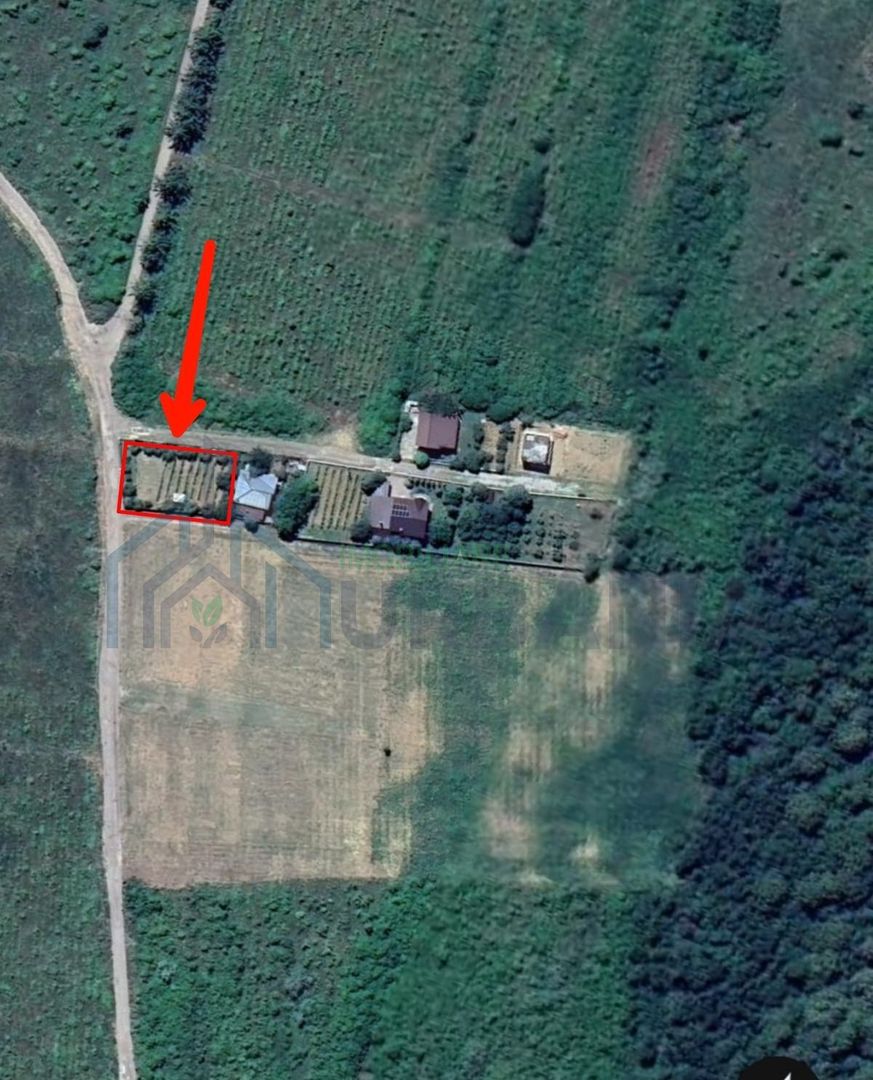 Teren de vânzare în Vișan/Bârnova – 585 mp, branșat la utilități - Poză 1